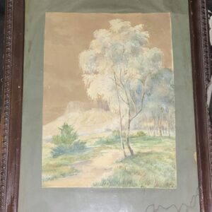 Forest Scenery